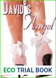 David|s Angel (David and Polly, #1)