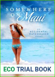 Somewhere on Maui (Accidental Matchmaker, #1)