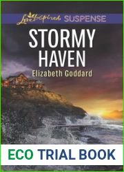 Stormy Haven (Coldwater Bay Intrigue #2)