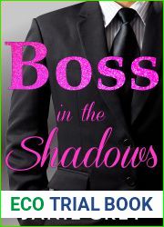 Boss in the Shadows: A billionaire boss romance