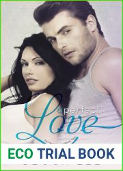 A Perfect Love (Perfect, #2)