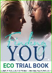 Finding You (Quinn Brothers, #2)