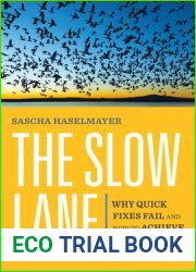 The Slow Lane: Why Quick Fixes Fail and How to Achieve Real Change