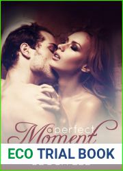 A Perfect Moment (Perfect, #1)