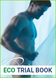 Curious?: A Woman|s Introduction to Gay Romance
