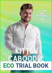 Kitten Caboodle (Clover Hill Romance Book 12)