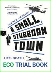 A Small, Stubborn Town: Life, death and defiance in Ukraine