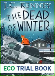 The Dead of Winter (An Allie Cobb Mystery, #5)