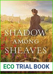 Shadow Among Sheaves