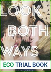 Look Both Ways