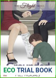 Grounded (The Flight Series, #2)