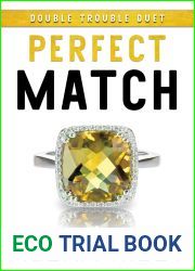 Perfect Match (Double Trouble, #2)