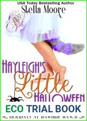 Hayleigh|s Little Halloween (Holidays at Rawhide Ranch, #1)