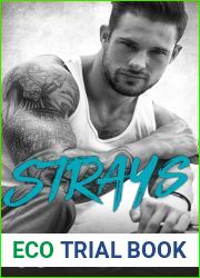 Strays: An Anti-Hero Romance