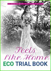 Feels Like Home (Southern Bride, #5)