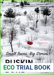 Small Towns, Big Stories