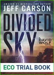 Divided Sky (David Wolf #13)