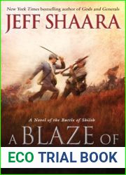 A Blaze of Glory (Civil War: 1861-1865, Western Theater, #1)
