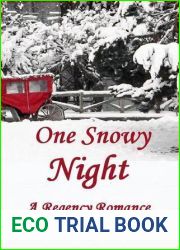 One Snowy Night