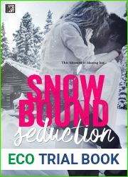 Snowbound Seduction