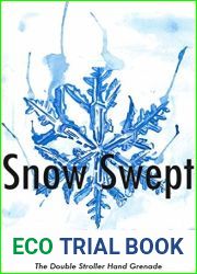 Snow Swept (Snow Swept Trilogy #1)