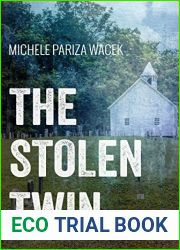 The Stolen Twin (The Riverview Mysteries, #1)