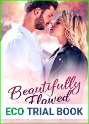 Beautifully Flawed (Shine Design, #2)