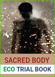 Sacred Body: Readings in Jewish Literary Illumination (Lexington Studies in Jewish Literature)