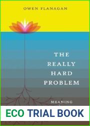 The Really Hard Problem: Meaning in a Material World