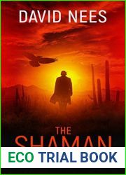 The Shaman (Dan Stone Assassin, #2)