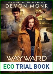 Wayward Moon (Souls of the Road, #2)