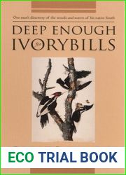 Deep Enough for Ivorybills (Brown Thrasher Books)