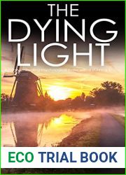 The Dying Light (DCI Matt Ballard, #3)