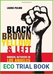 Black, Brown, Yellow, and Left: Radical Activism in Los Angeles (Volume 19) (American Crossroads)
