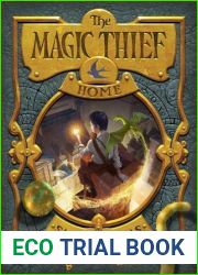 Home (Magic Thief, #4)