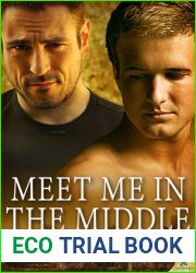 Meet Me in the Middle (The Distance Between Us #3; Wild|s #5)