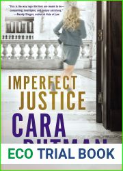 Imperfect Justice (Hidden Justice #2)
