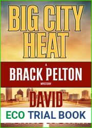 Big City Heat (Brack Pelton #3)