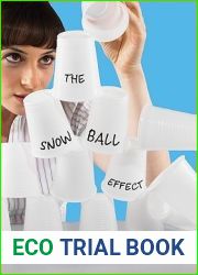 The Snowball Effect