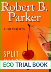 Split Image (Jesse Stone, #9)