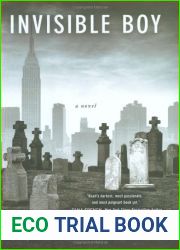 Invisible Boy (Madeline Dare, #3)