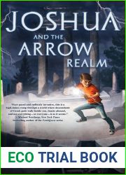Joshua and the Arrow Realm (Lightning Road #2)