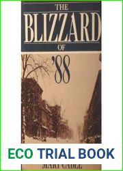The Blizzard of |88