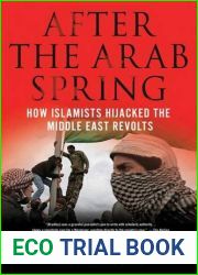 After the Arab Spring: How Islamists Hijacked the Middle East Revolts