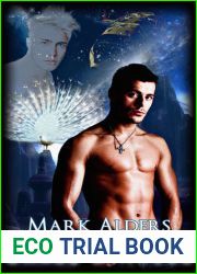 Sarge|s Angel (Schism Universe, #2)