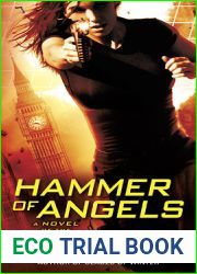 Hammer of Angels (Shadowstorm, #2)