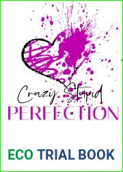 Crazy Stupid Perfection (Crazy Stupid, #3)