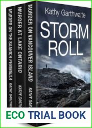 Storm Roll: DI William Gibson Box Set