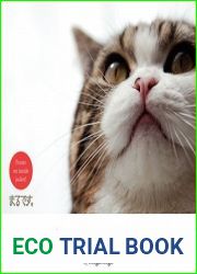 I Am Maru