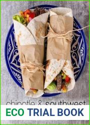 Chipotle and Southwest: Enjoy Easy Southwest and Chipotle Cooking with Chipotle Recipes and Southwest Recipes (2nd Edition)